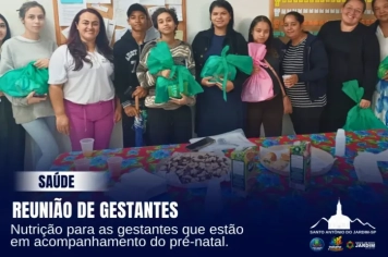Reunião de Gestantes 