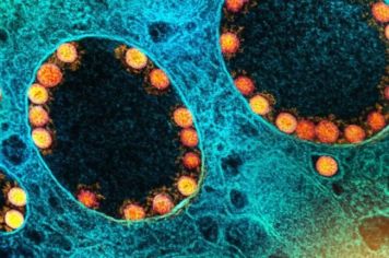 Nesta TERÇA FEIRA, dia 28 de Dezembro, a UBS Farmacêutico Raul da Costa Câmara estará aberta para vacinação contra COVID