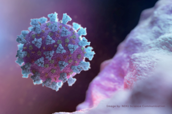 Atenção ao calendário de VACINAÇÃO CONTRA COVID PARA QUARTA FEIRA.