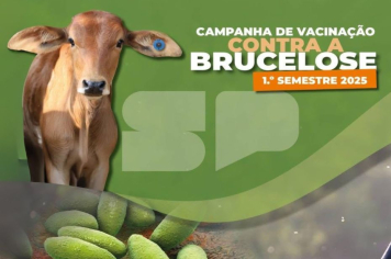 COMPANHA DE VACINAÇÃO CONTRA A BRUCELOSE 