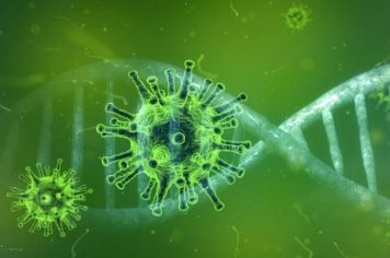 Neste sábado, dia 11 de Dezembro, a UBS Farmacêutico Raul da Costa Câmara estará aberta para vacinação contra COVID a partir das 08 horas.