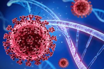 Vacinação contra COVID  da população  maior de 18 anos