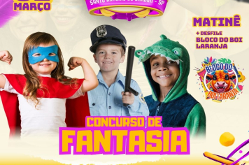 FEIRA CARNAVALESCA 2025 