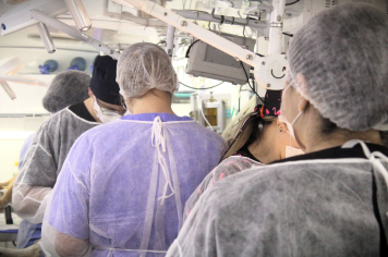 Terceira Etapa do Programa de Castração e Microchipagem Animal de Santo Antônio do Jardim é um sucesso