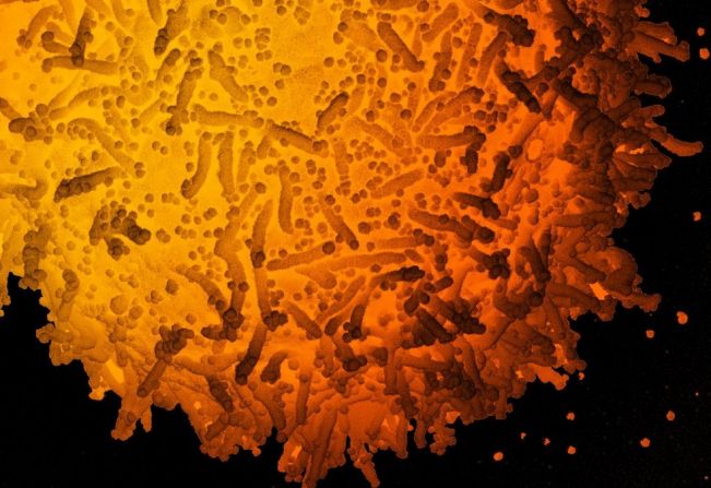 Vcinação contra COVID  da população com mais de 25 anos . 