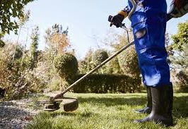 Oportunidade em Santo Antônio do Jardim