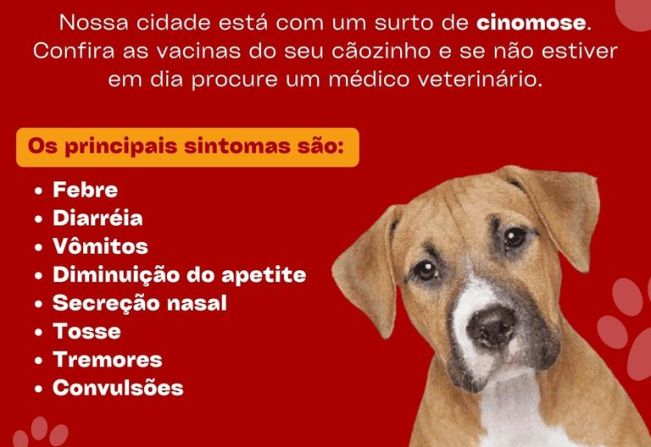 alerta para cinomose!